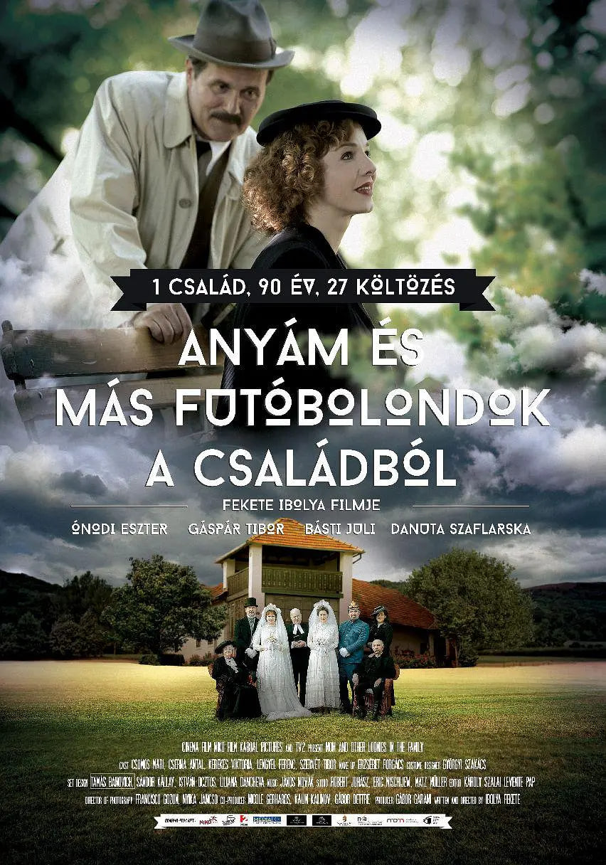 母亲与疯子们封面图