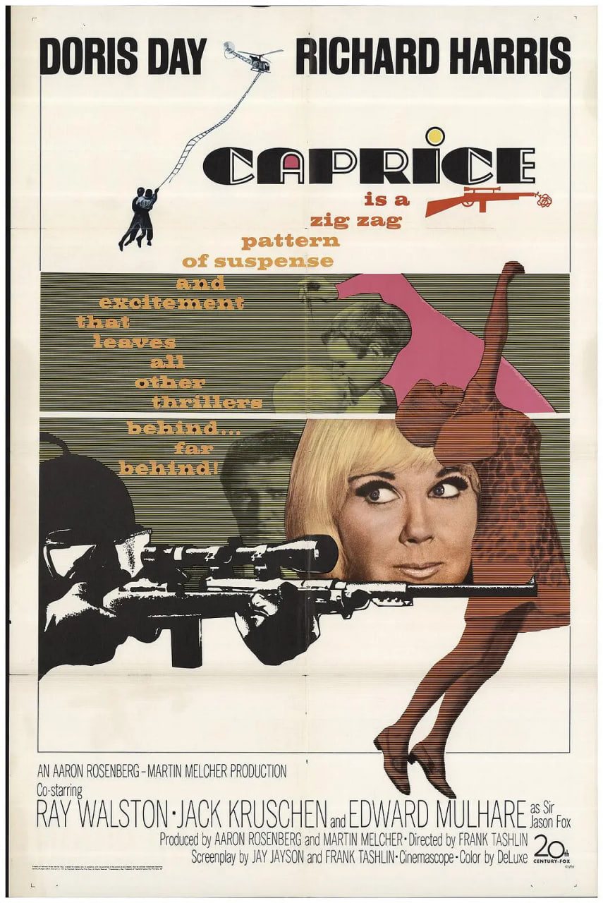 雌雄双谍封面图