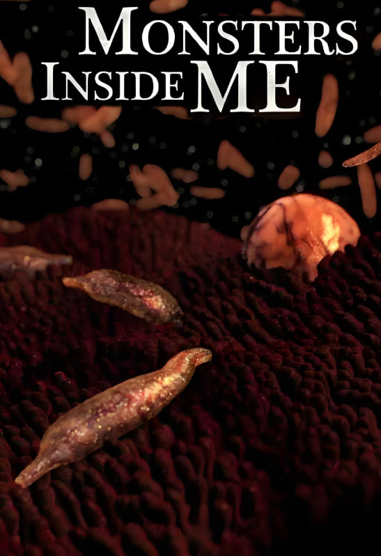 体内的怪物 第一季封面图