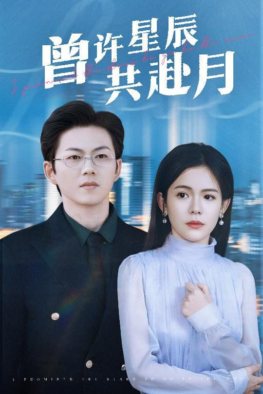曾许星辰共赴月封面图