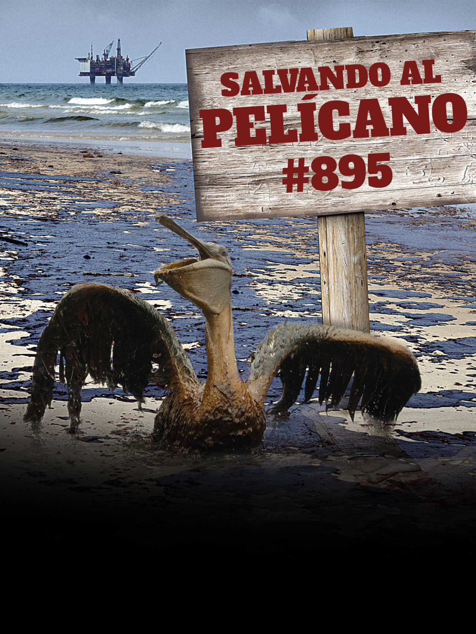 拯救鹈鹕895封面图