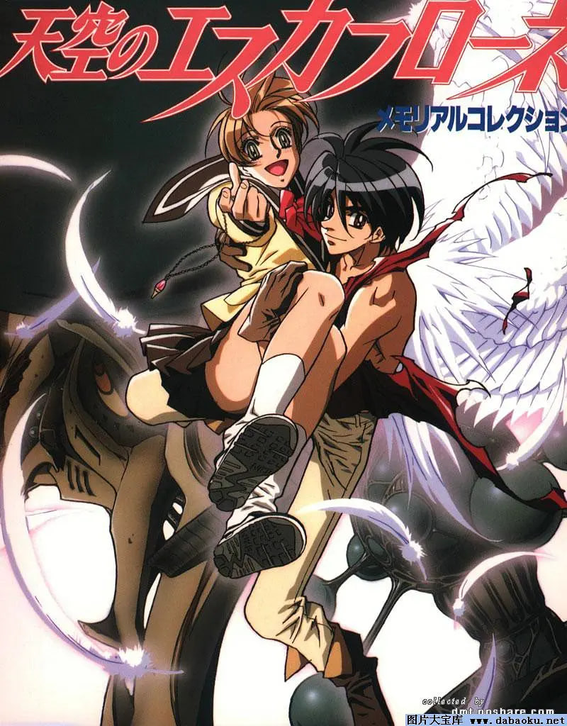 天空之艾斯嘉科尼封面图