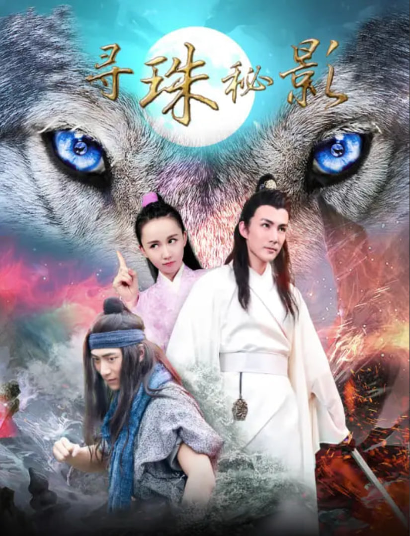 寻珠秘影封面图