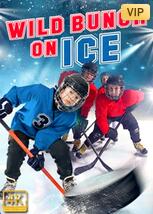 冰上狂欢封面图