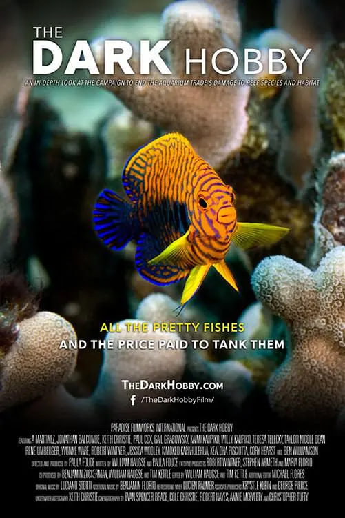 黑暗嗜好封面图