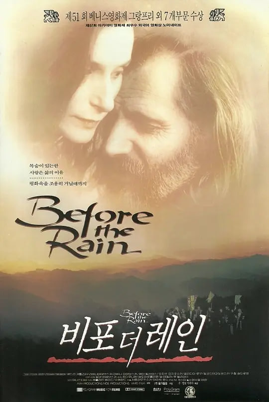 暴雨将至封面图