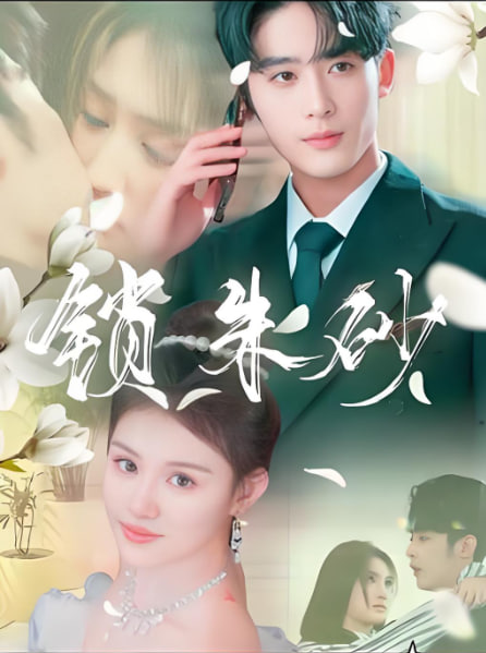 锁朱砂（在火焰尽头等你）封面图