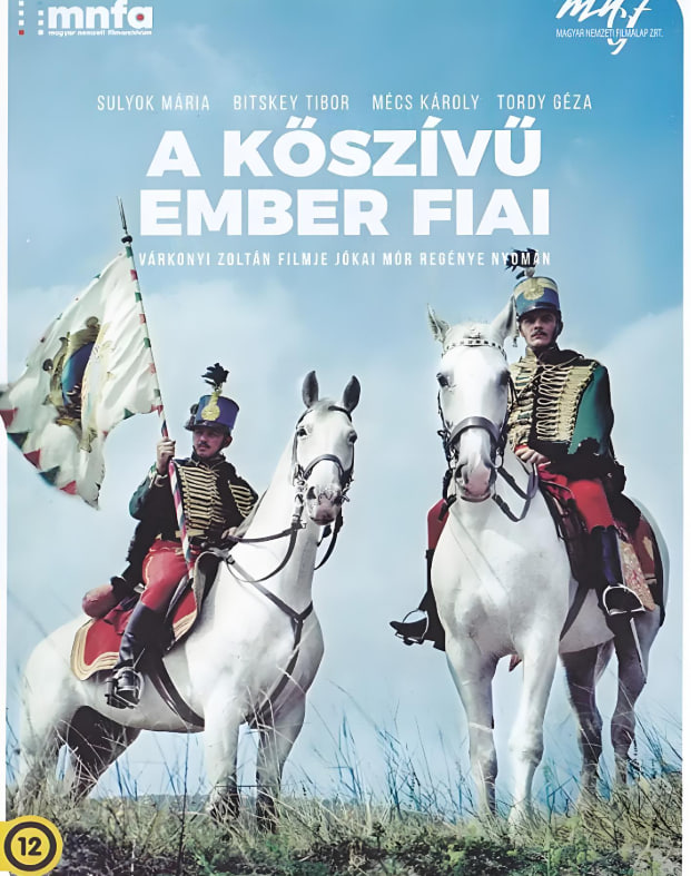 战士与旗帜封面图