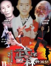 武林探秘封面图