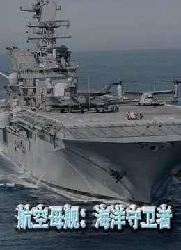 航空母舰：海洋守卫者封面图