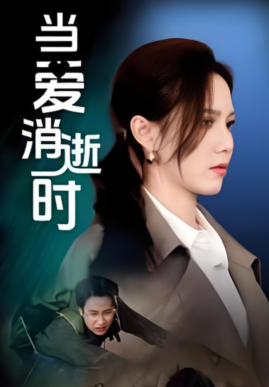 当爱消逝时封面图