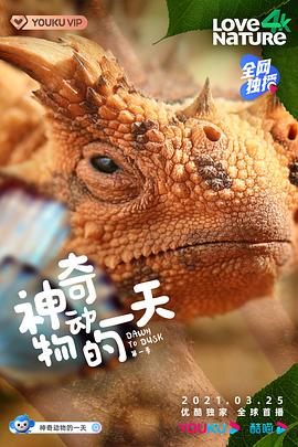 神奇动物的一天 第一季封面图