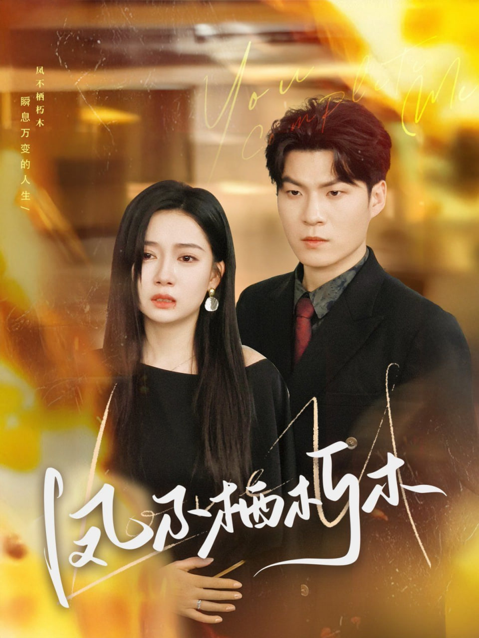 凤不栖朽木封面图