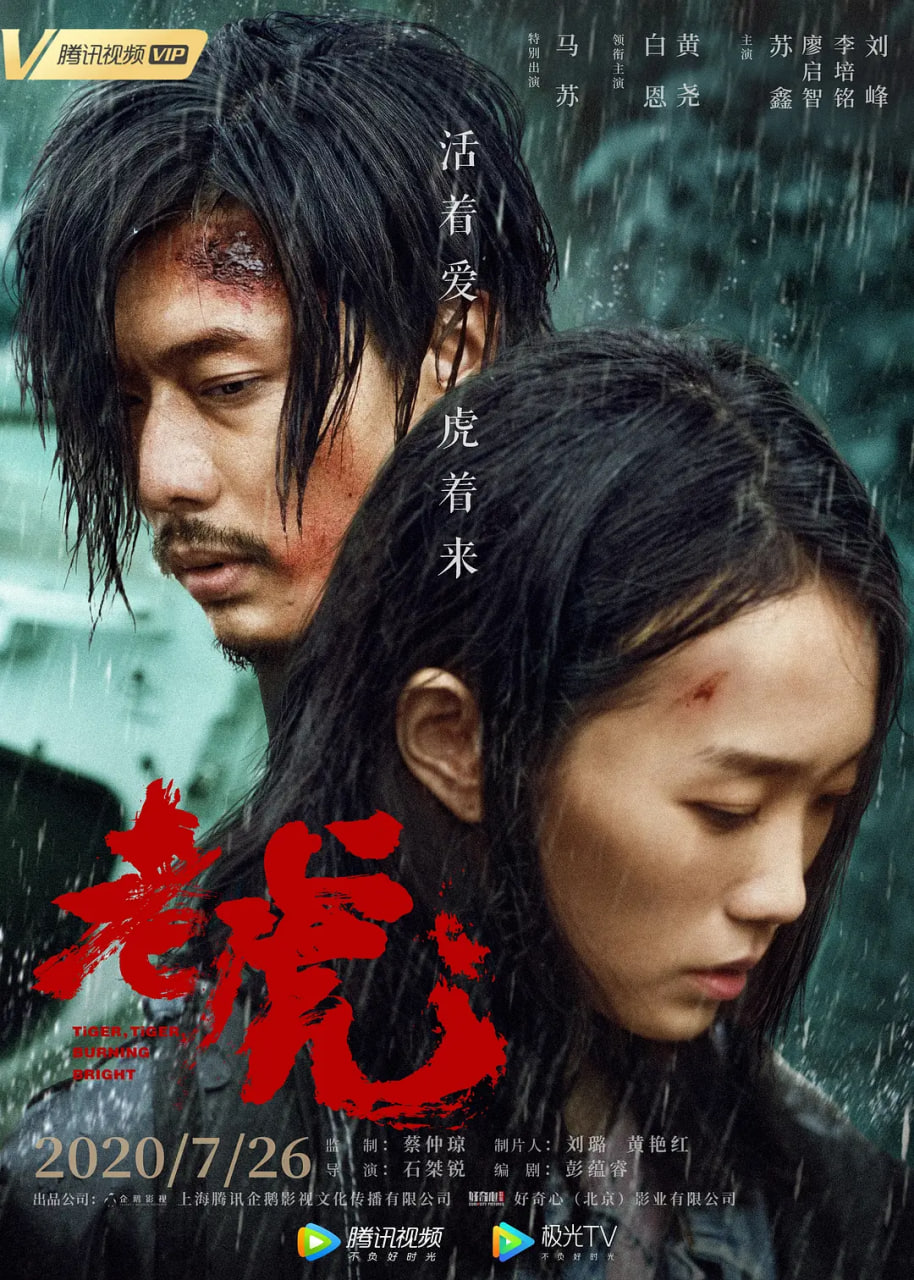 老虎 2020封面图