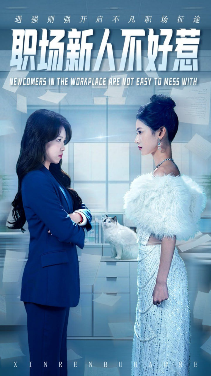 职场新人不好惹封面图
