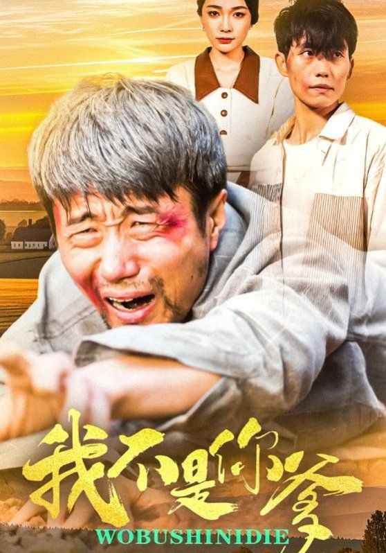 我不是你爹封面图