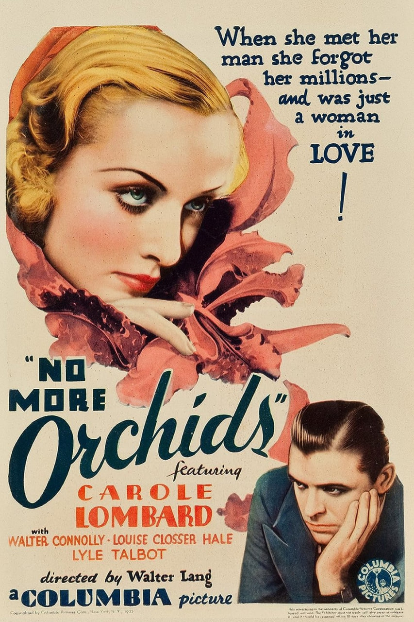 兰花不再封面图