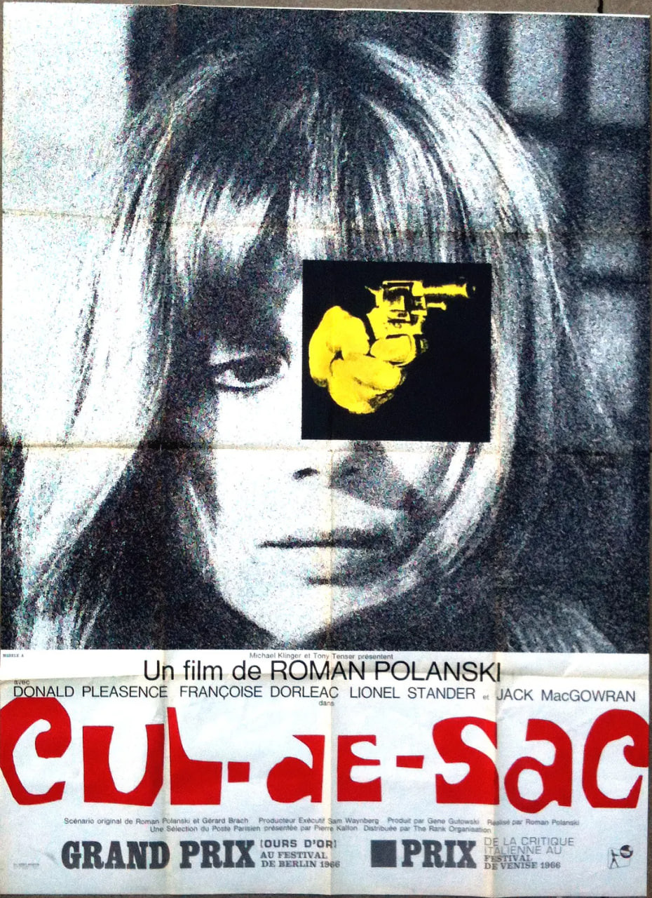 荒岛惊魂 1966封面图