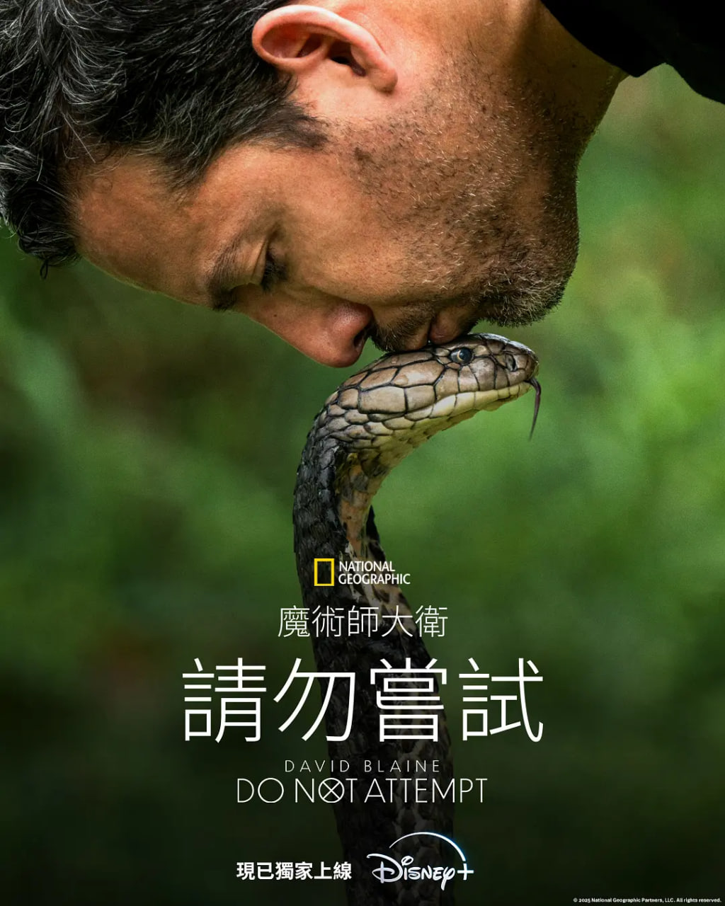 大卫·布雷恩：请勿尝试封面图