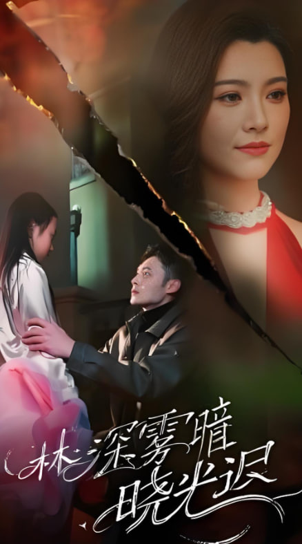 林深雾暗晓光迟封面图