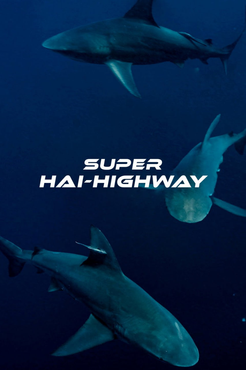 超級鯊魚大道(港)封面图