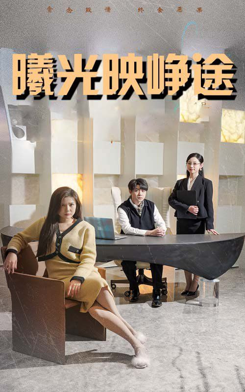 曦光映峥途（错把瓦砾当明珠）封面图