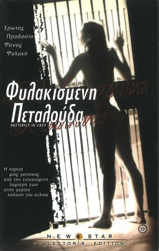 灰色蝴蝶封面图