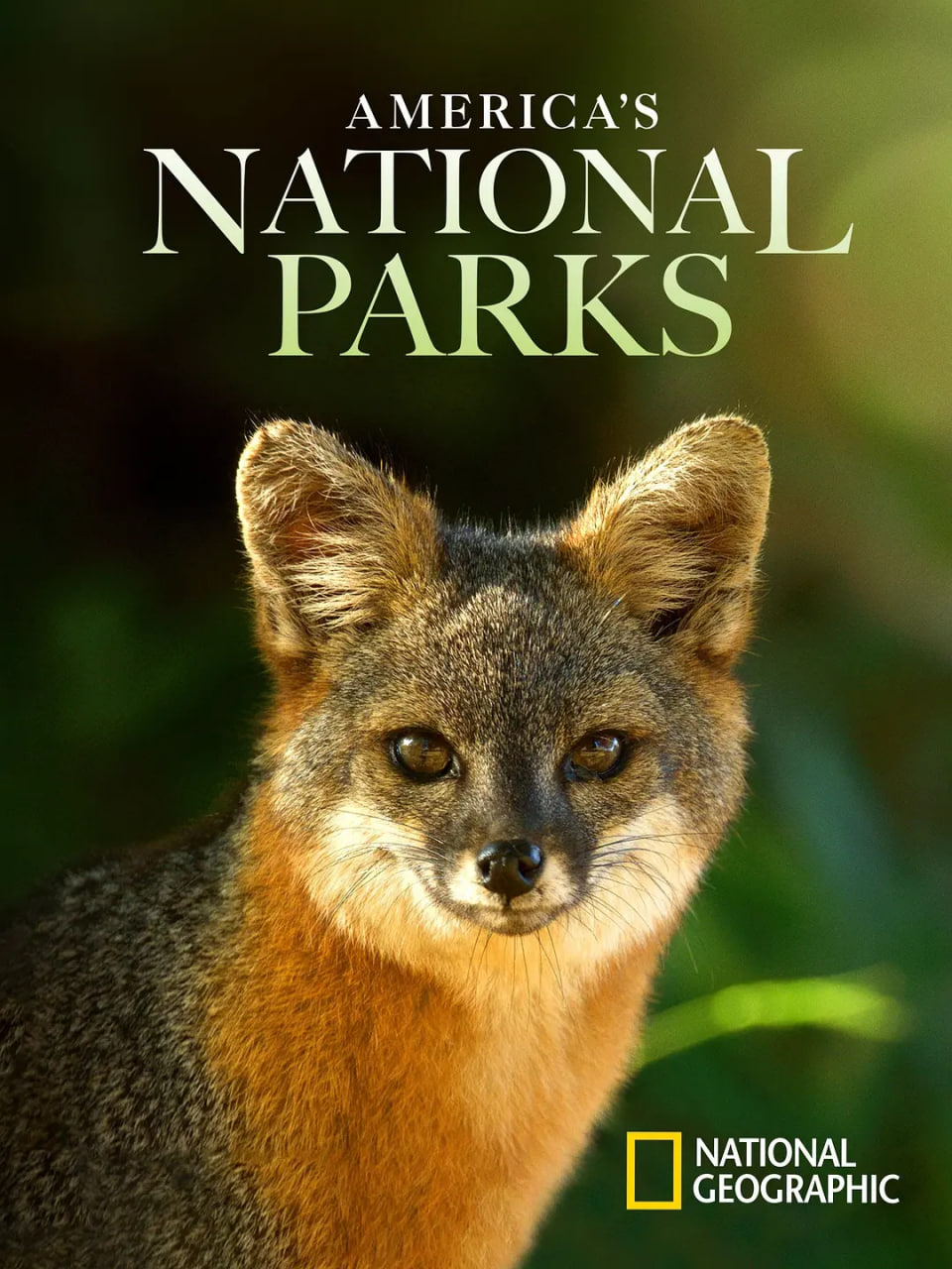 美国国家公园 第二季封面图