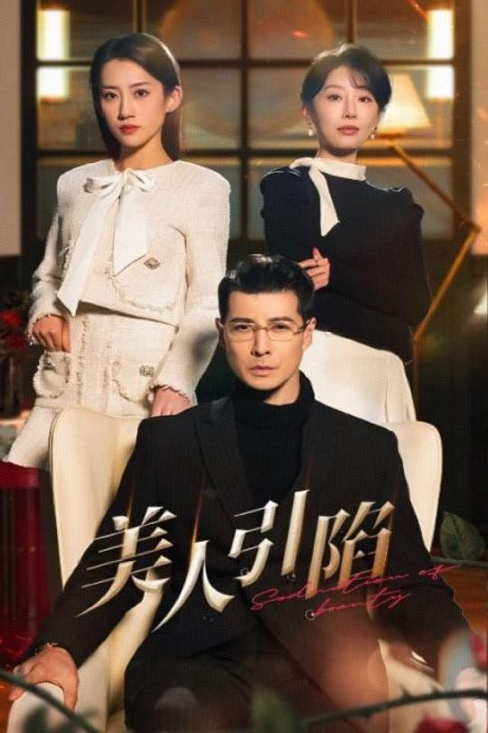 美人引陷封面图