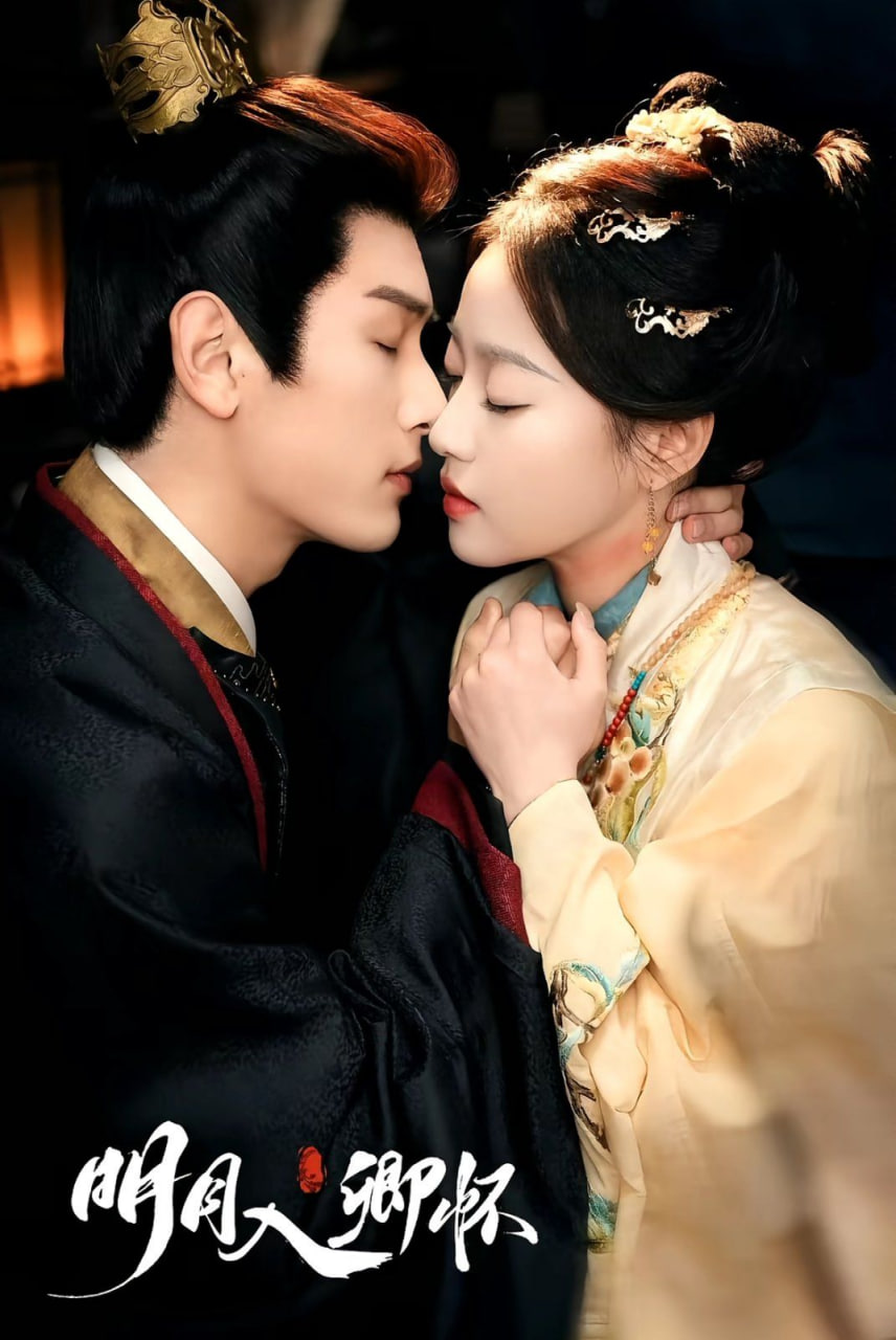 明月入卿怀封面图