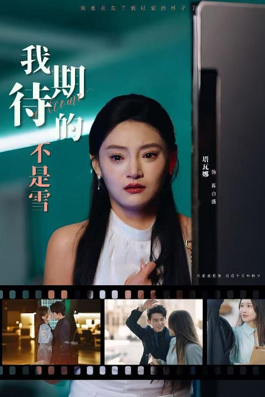 我期待的不是雪封面图