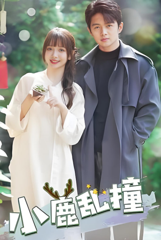 小鹿乱撞封面图