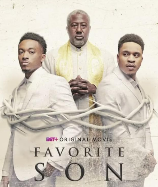 政坛宠儿封面图