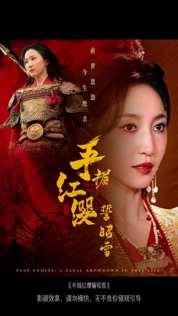 手握红缨誓昭雪封面图