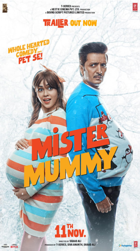 木乃伊先生封面图