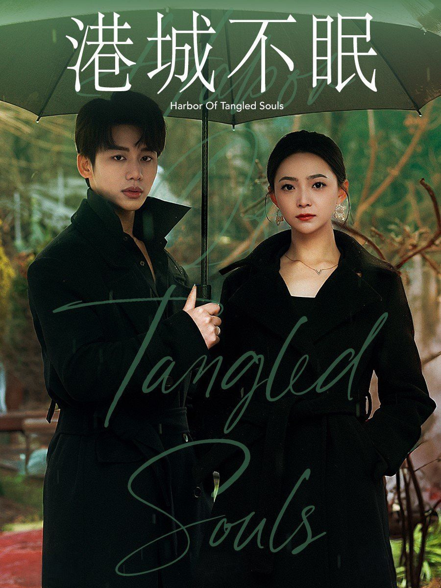 港城不眠封面图