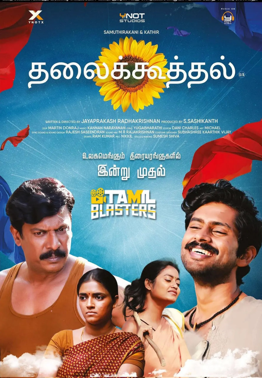 儿子的选择封面图