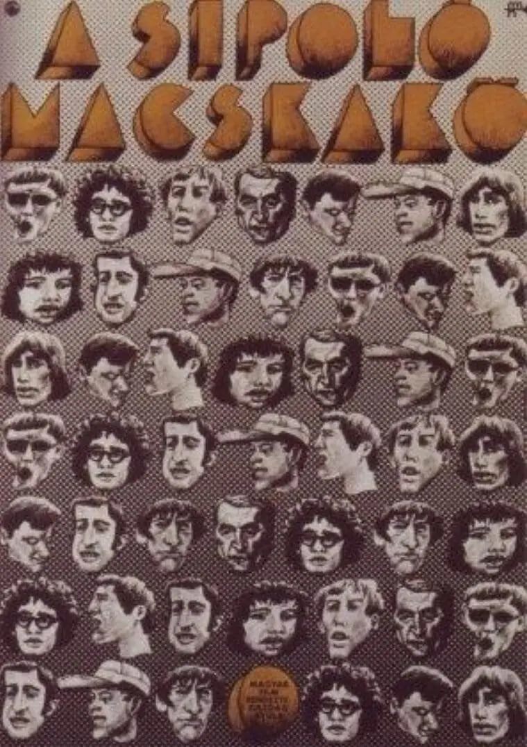 吹口哨的猫封面图