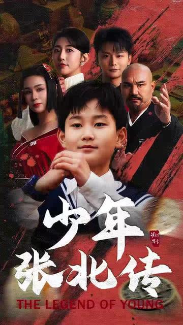 少年张北传封面图