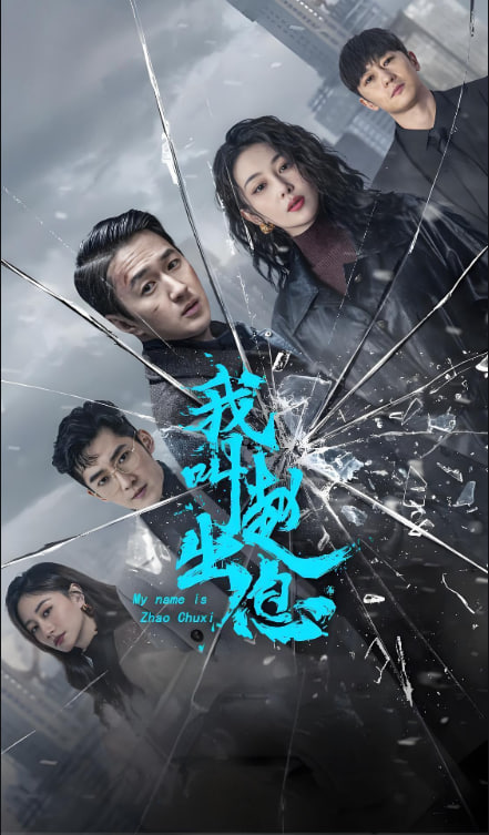 我叫赵出息封面图