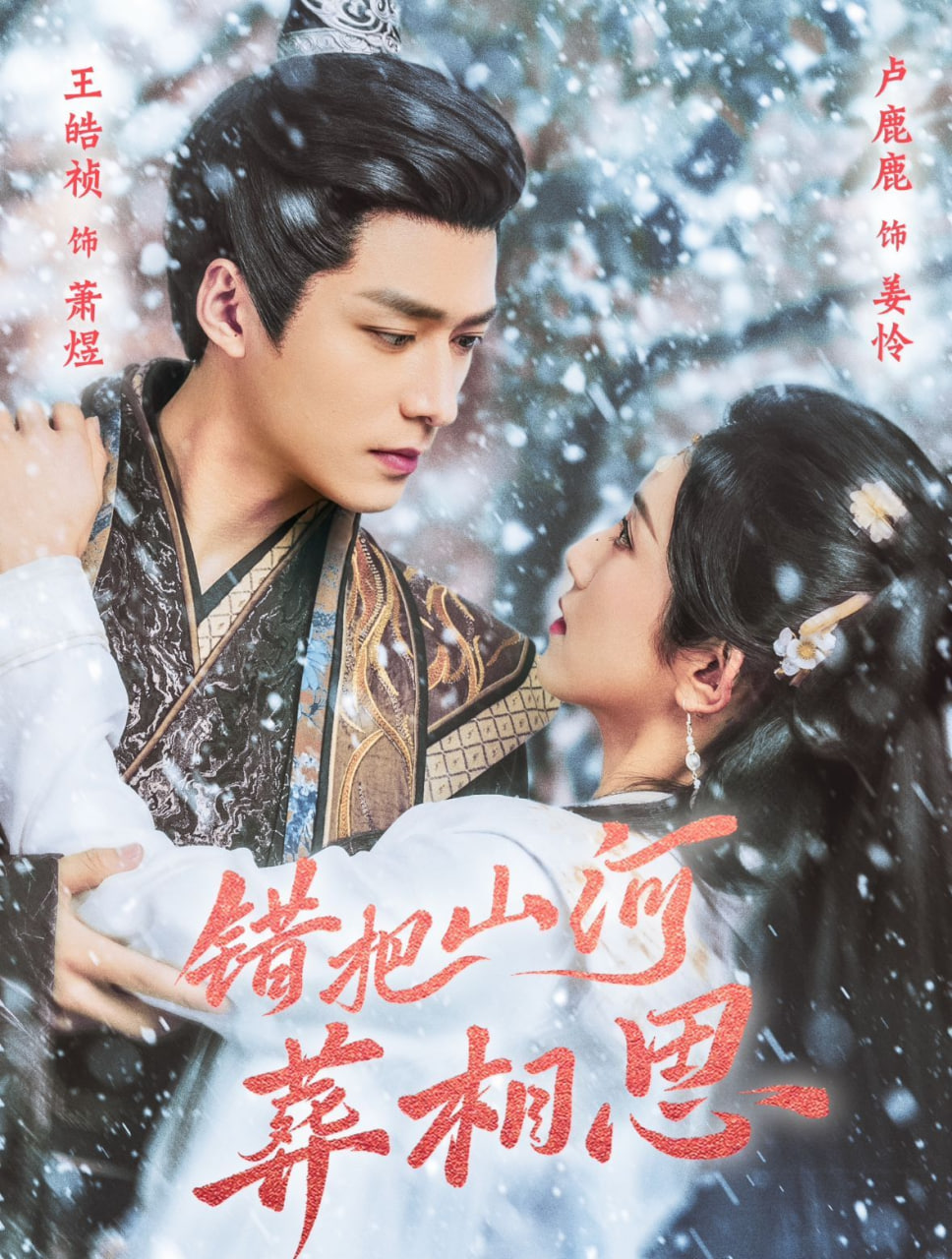 错把山河葬相思封面图