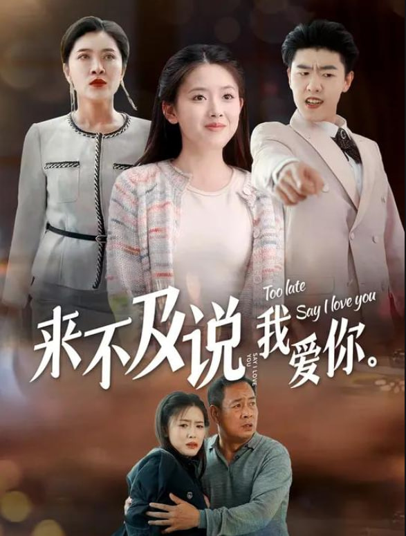 来不及说我爱你封面图