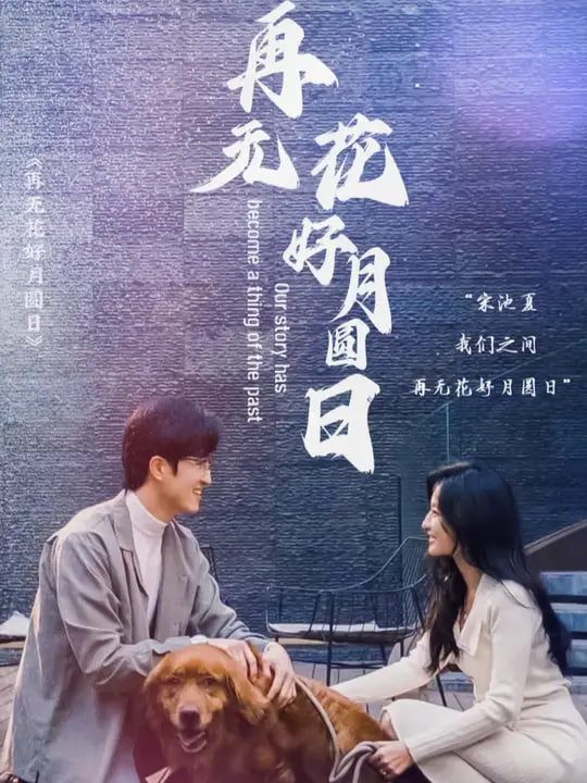 再无花好月圆日封面图