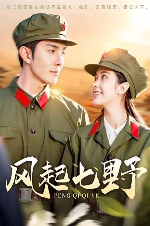 风起七野封面图