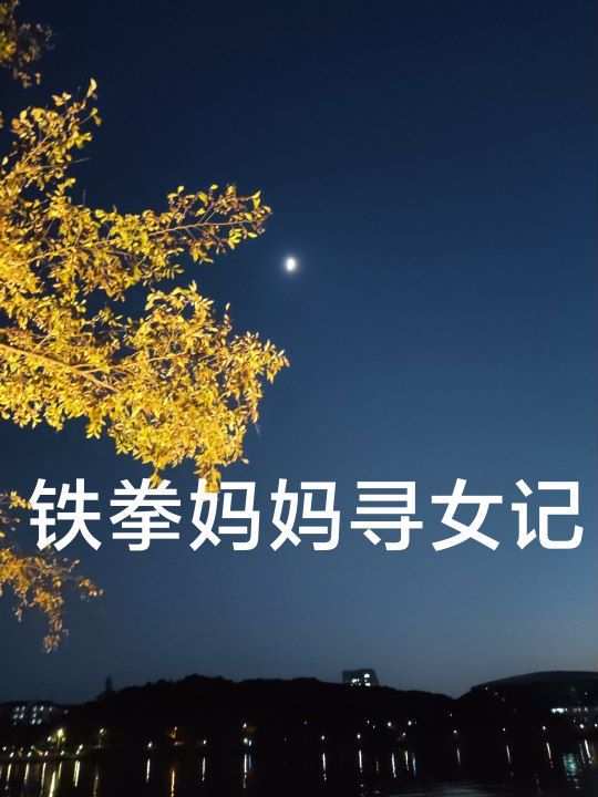 铁拳妈妈寻女记封面图