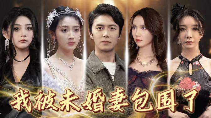 我被未婚妻包围了封面图