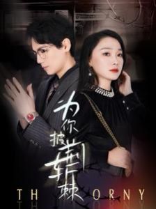 为你披荆斩棘封面图