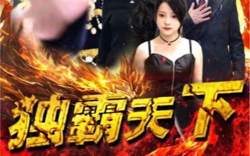 独霸天下封面图