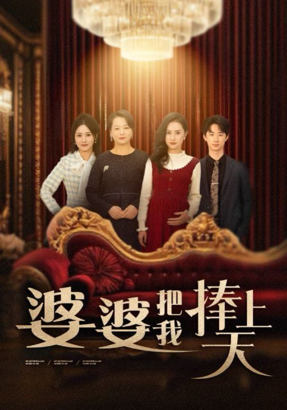 婆婆把我捧上天封面图