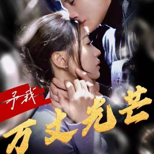 予我万丈光芒封面图